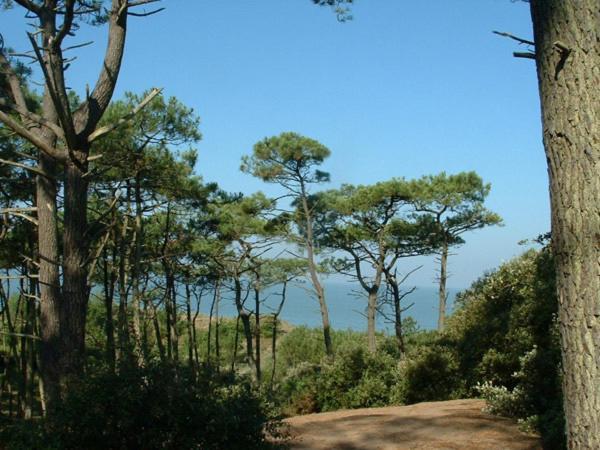 Cottages du Valcoquet Saint-Brévin-les-Pins Extérieur photo